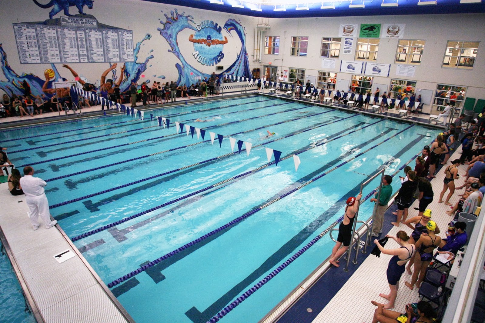 Mark Kodiak Ukena IHSA Sectionals Girls Swimming