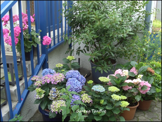 GartenTonArt
