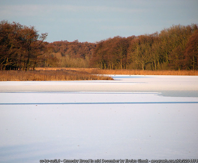 The Family Connection William Estow and Mary Moulton of Ormesby