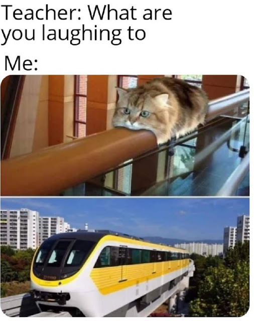 Cat will commit self deletus Cat will commit self deletus