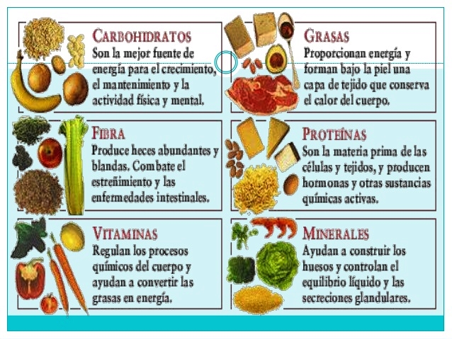 Mejor dieta para comer