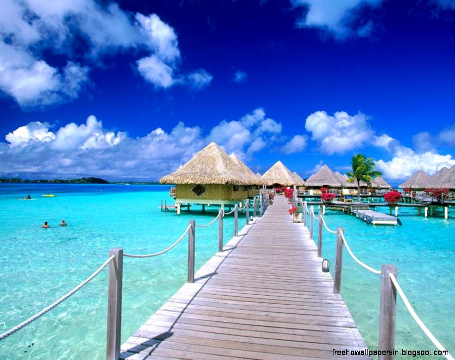 Tropical Desktop Wallpaper  Download HD Wallpapers