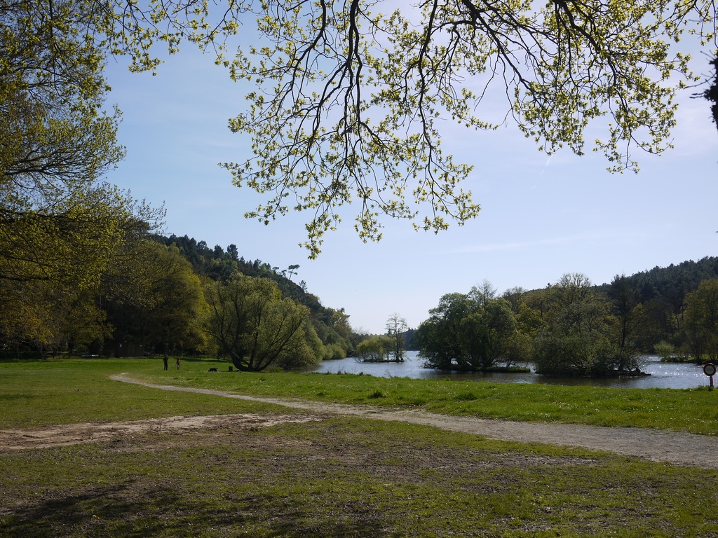 L'île aux Pies côté BainssurOust L'île aux Pies côté BainssurOust