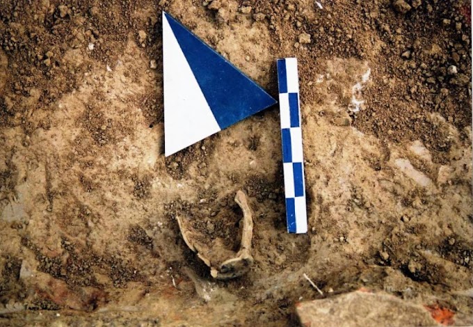 Αρχαιολογική έρευνα στο Ιερό του Ελικωνίου Ποσειδώνα