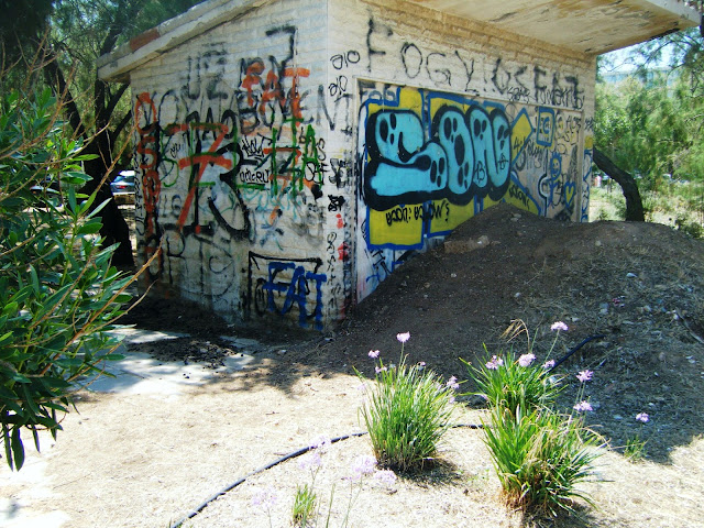 DSCF0551