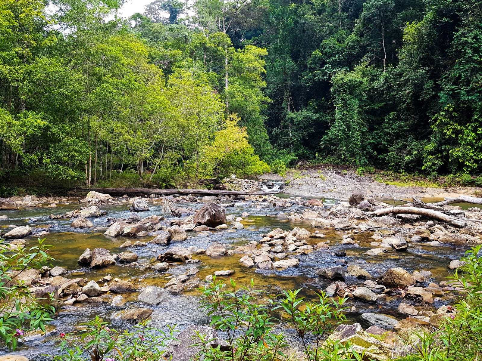 2D1N Endau-Rompin National Park via Selai : Waterfalls Paradise ...