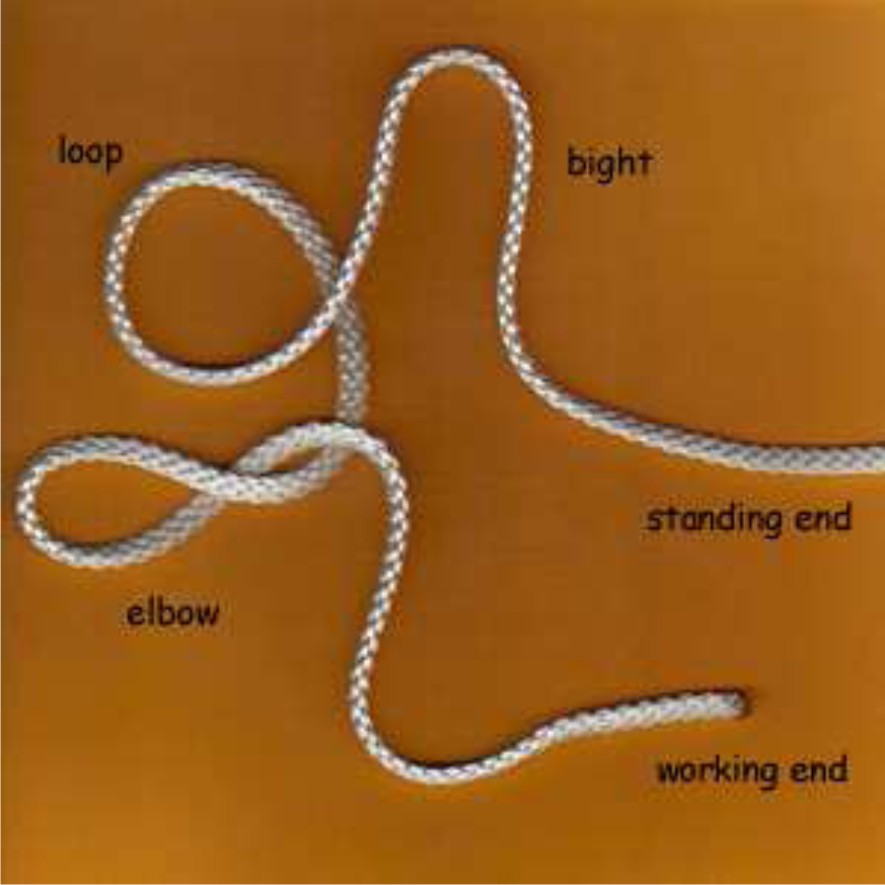 Demonstrate how to tie the following knots Reef knot, Sheet bend