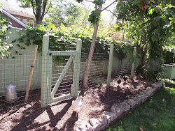 pain chicken away run manicured yard