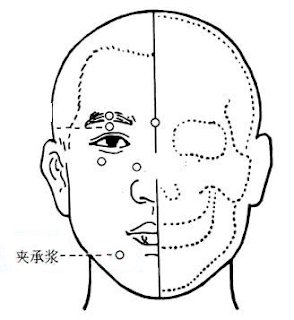 俠承漿穴位 | 俠承漿穴痛位置 - 穴道按摩經絡圖解 | Source:zhongyibaike.com