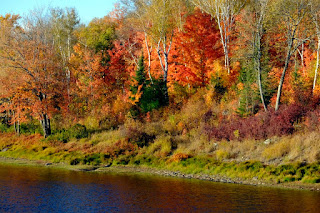 Thanksgiving point the farm
