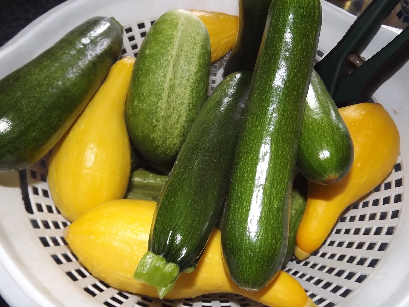 The Simple Life Squash, Zucchini, Cucumber, Potato Field to Fork