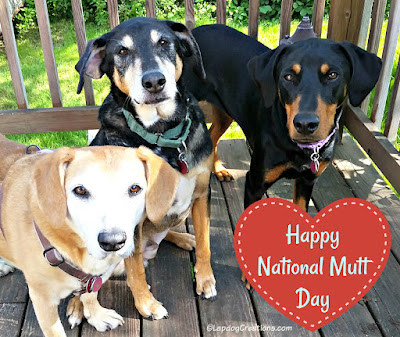 rescue dogs mixed breed national mutt day
