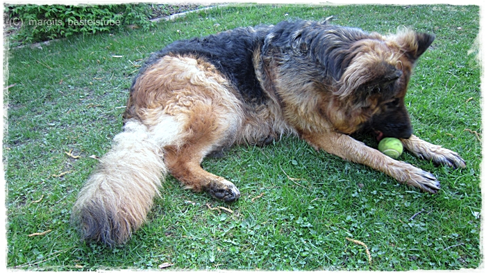 margits bastelstube Glücklicher Hund