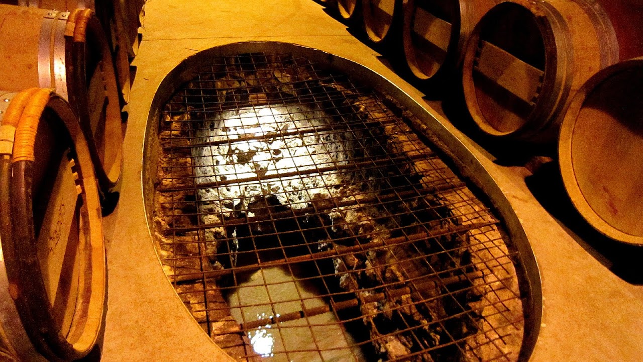 Building An Underground Wine Cellar Ground Choices