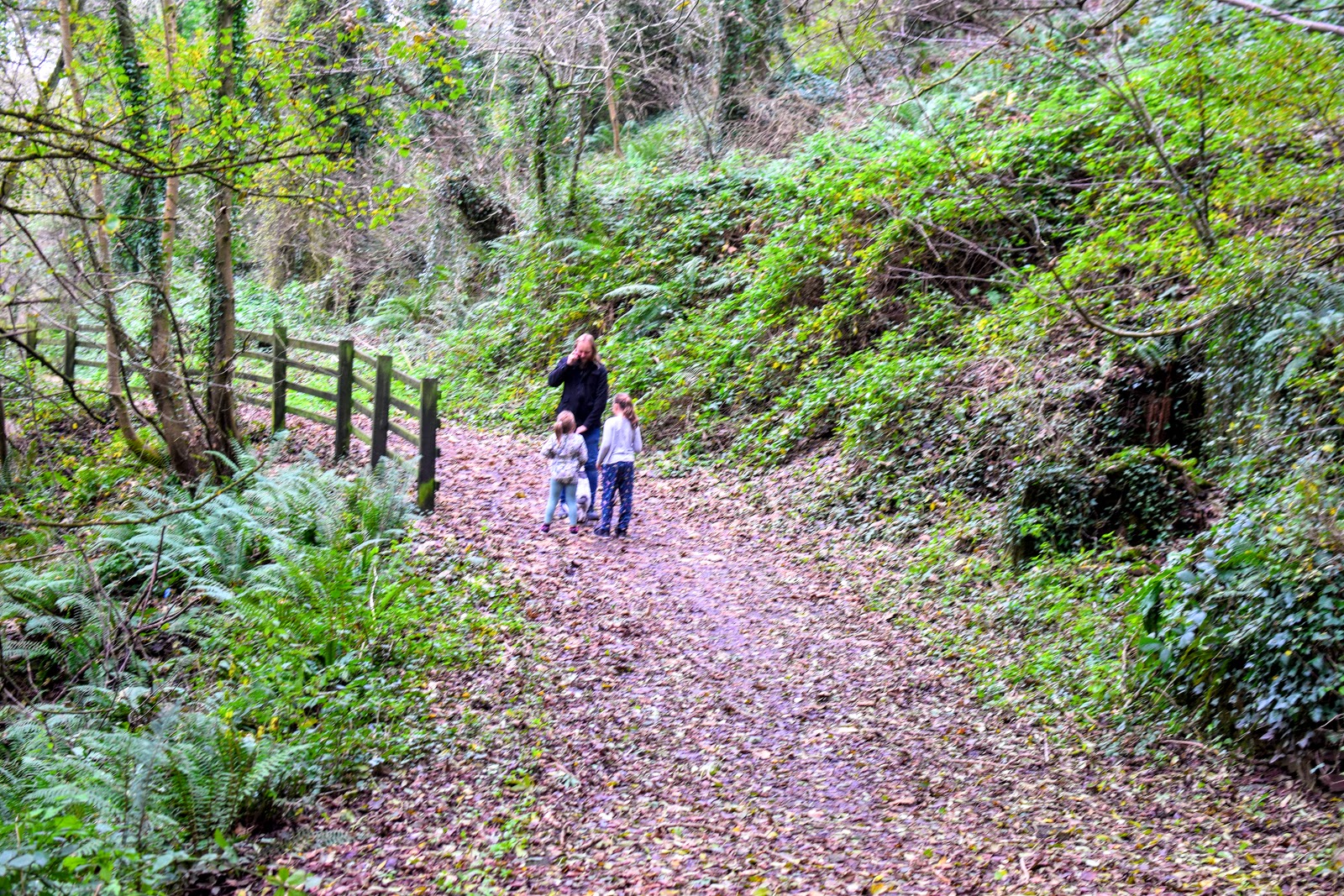 , Embrace #NoDullDays This Winter &#8211; a Leafy Walk at Lower Priory