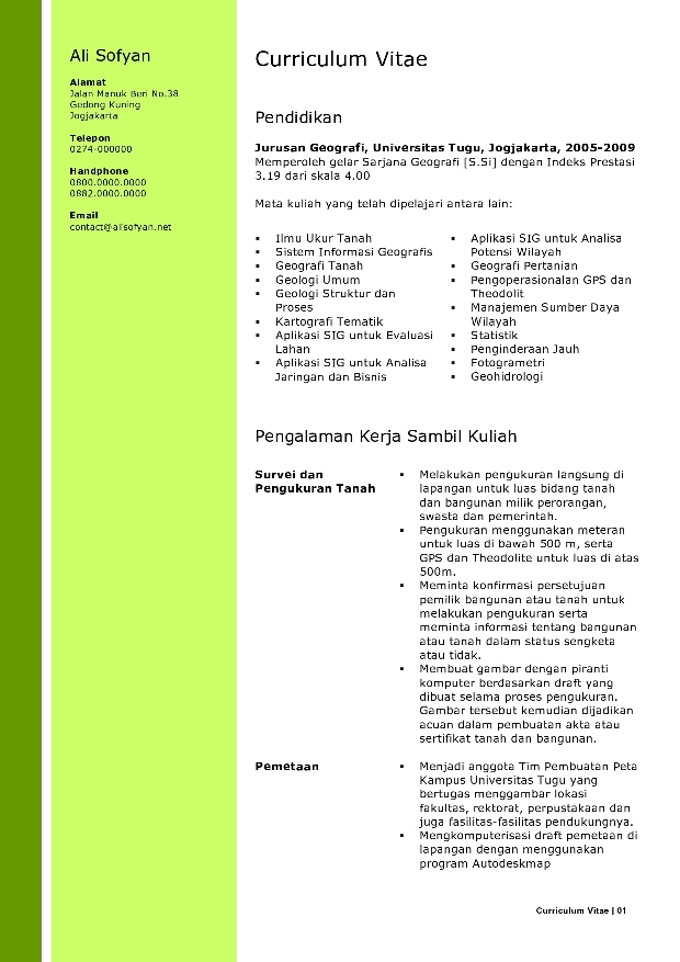 Curriculum vitae pns 08 image