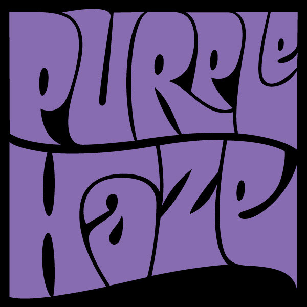 The TTABlog ® : Another TTAB Test: Is PURPLE HAZE for Guitar Pickups ...