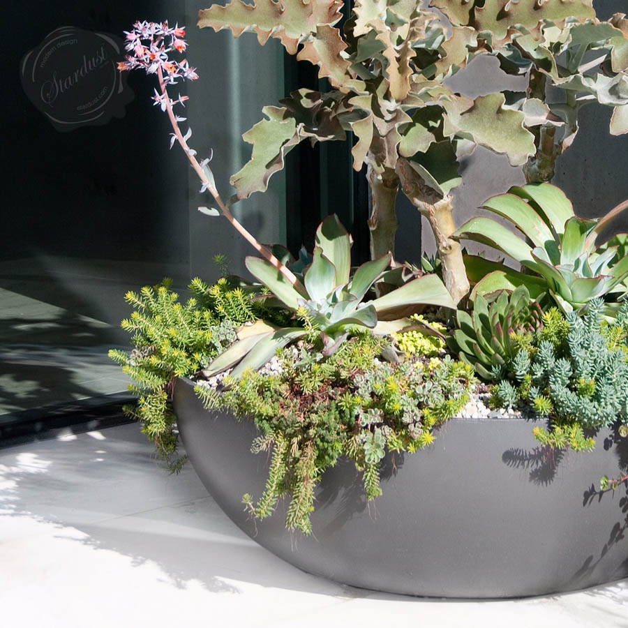 large SHALLOW round BOWL planter POT, 1,785.00, all colors