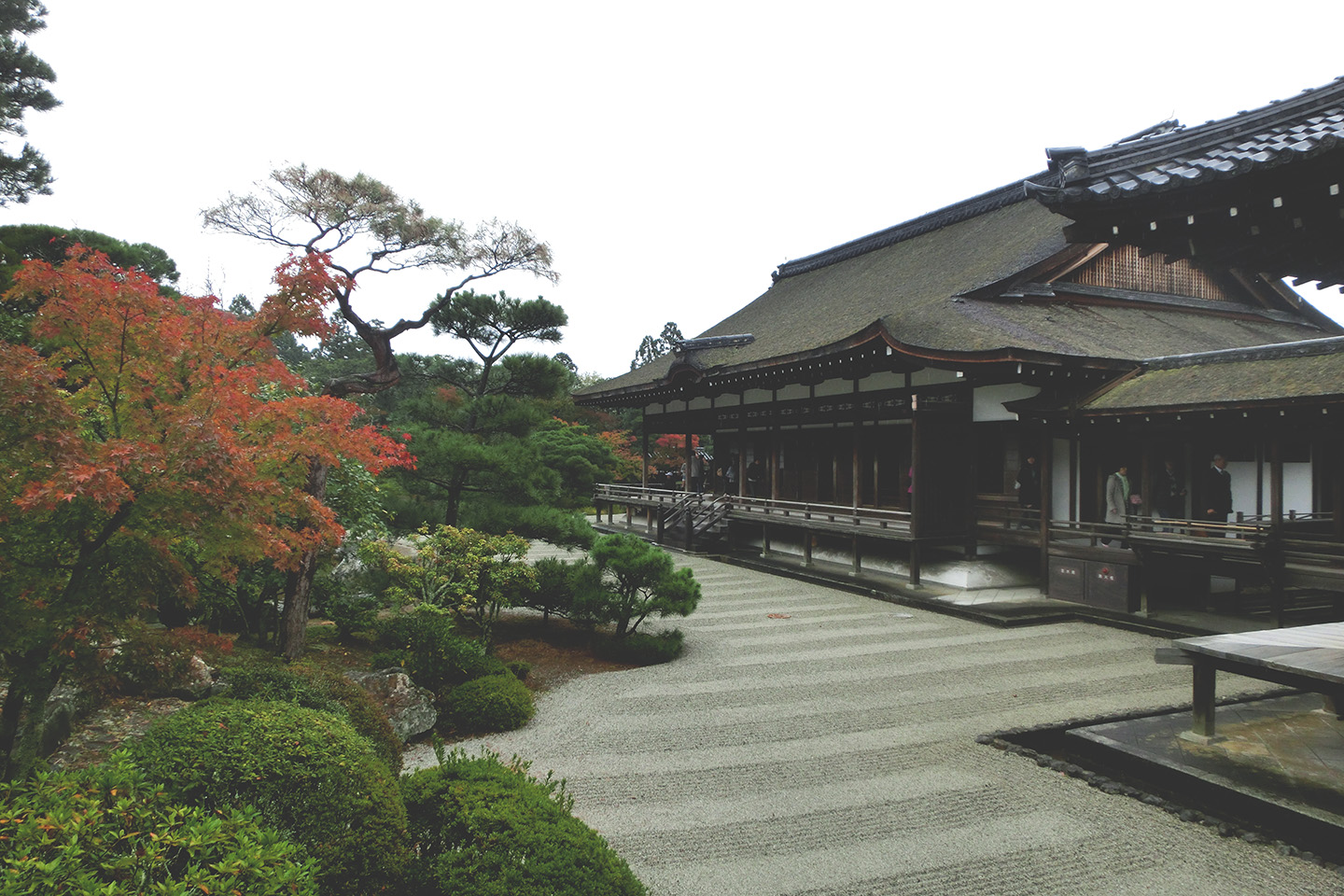 宅貓の窩 秋季未深時 京都篇 仁和寺 龍安寺 金閣寺