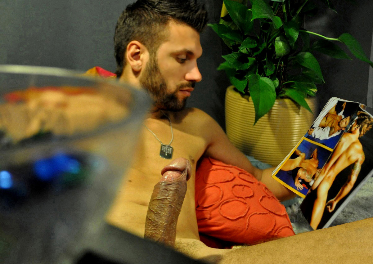 Garoto de Programa Barbado Dotado