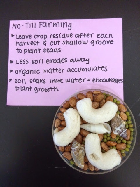 APES Blog Soil Conservation