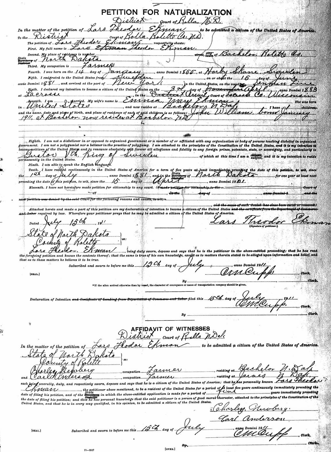 Naturalization facts picture