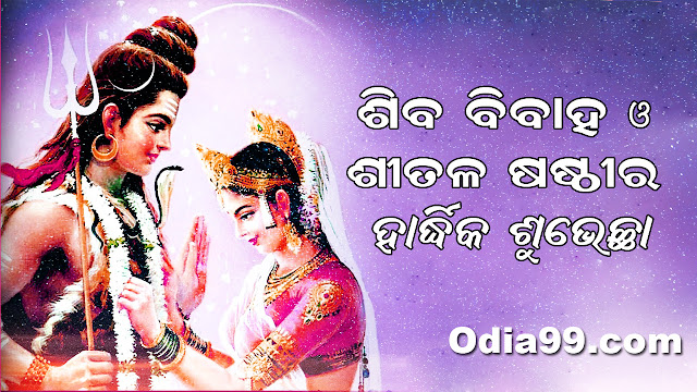 Sitala Sasti Jatra Photo sms Date time Sambalpur Sitalsasthi Jatra Photo