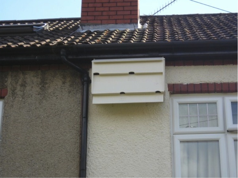 Action for Swifts A brief history of Swifts at Lyndale Avenue, Bristol