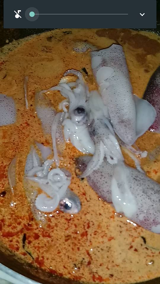 Tertunailah Hasrat Di Hati Kari Sotong Sekor Tanpa Santan