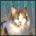This is Marg's Pet Blog