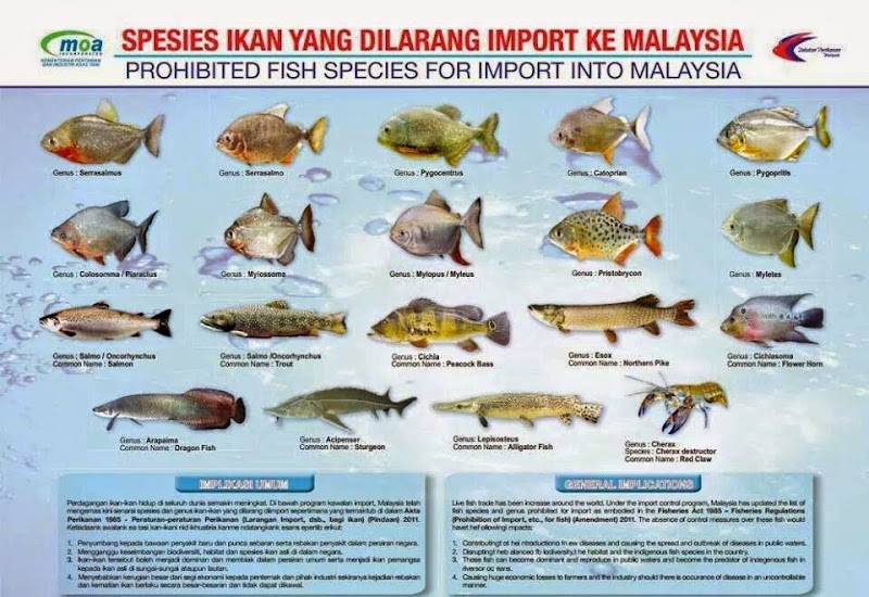Konsep Penting Ikan Sungai Malaysia