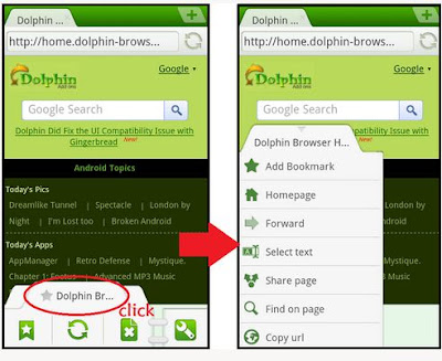 dolphin browser android terbaik