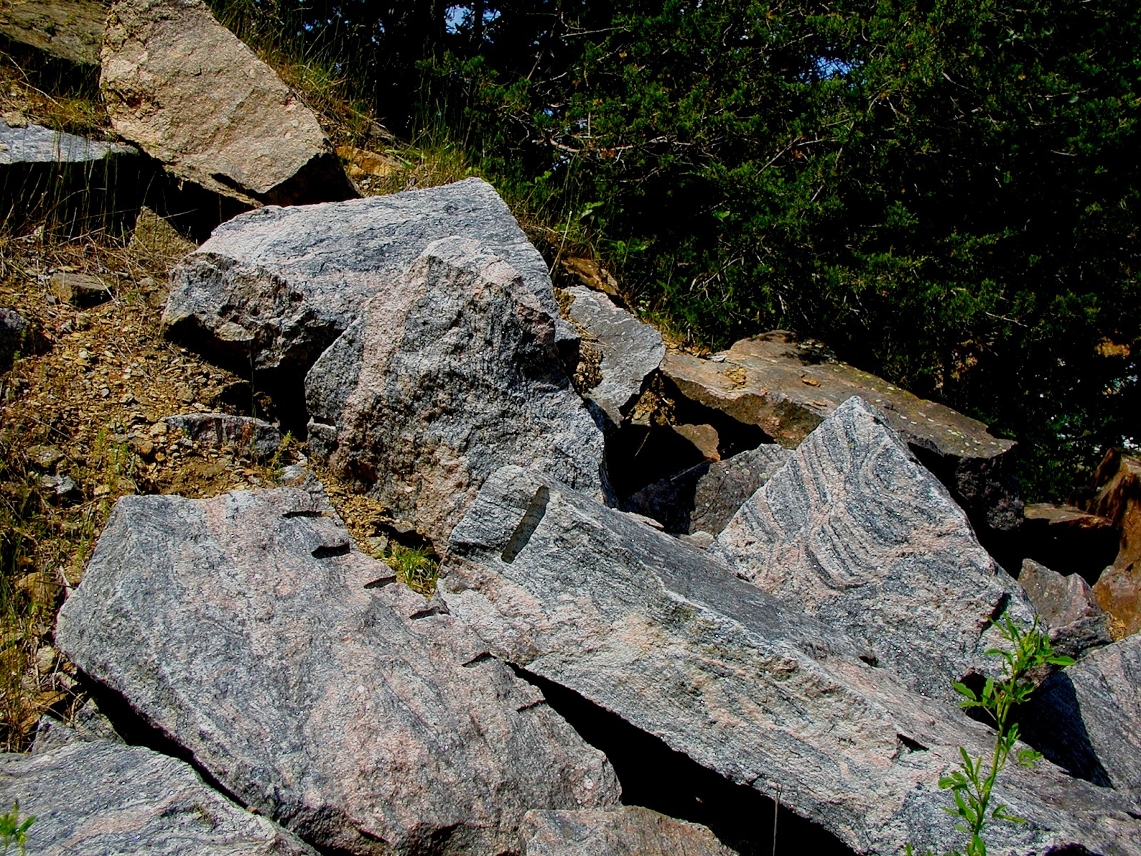 earthscienceguy Minnesota Geology Monday Morton Gneiss