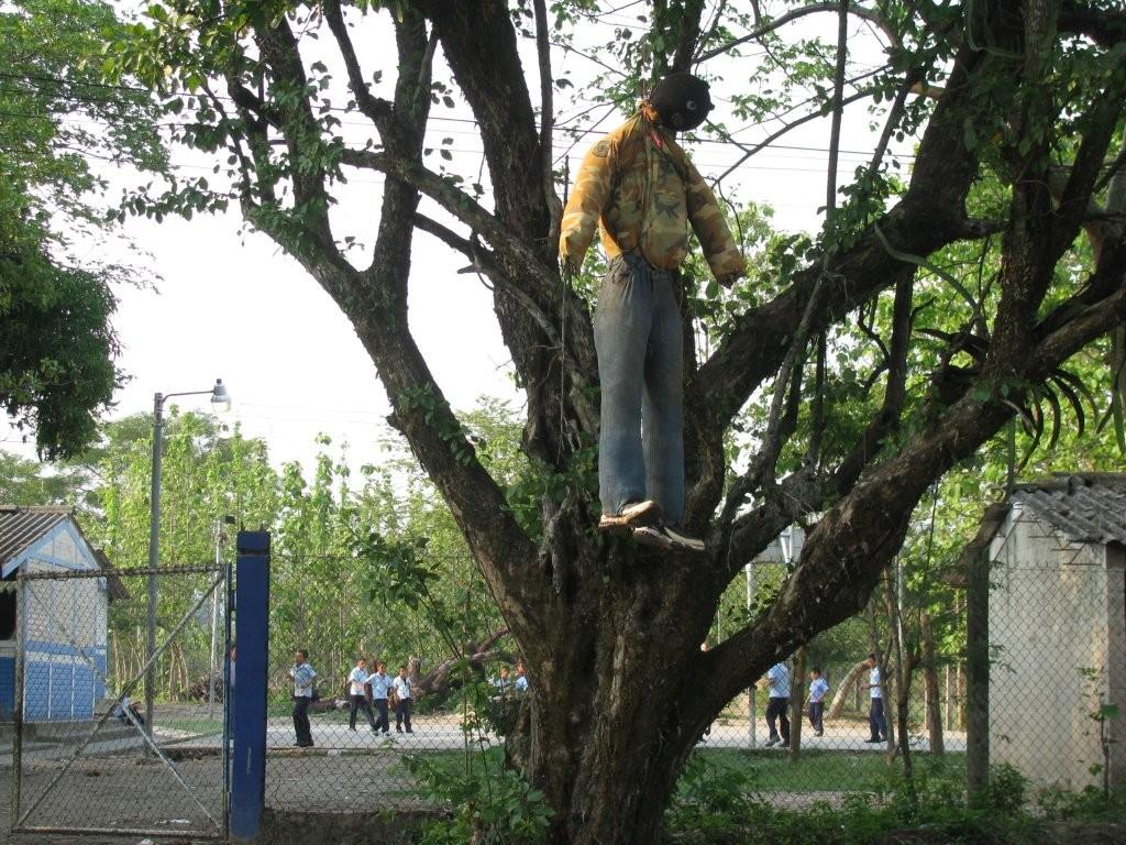 Ọmọ Oódua Kenyan man Seen hanging on a tree in New Jersey, U.S.A, Dead Ọmọ Oódua Kenyan man Seen hanging on a tree in New Jersey, U.S.A, Dead