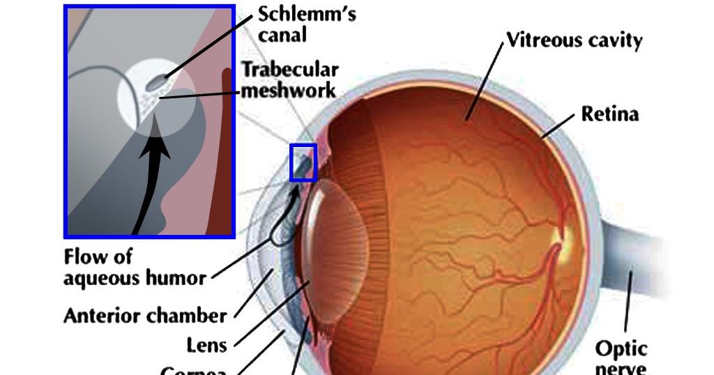 Узкоугольная глаукома. Нестабилизированная глаукома. Глаукома при ретинобластоме. Глаукома латынь