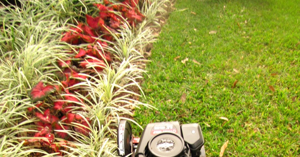 Hoe and Shovel: Troy-Bilt Triple Blade Lawn Edger TB554 Review