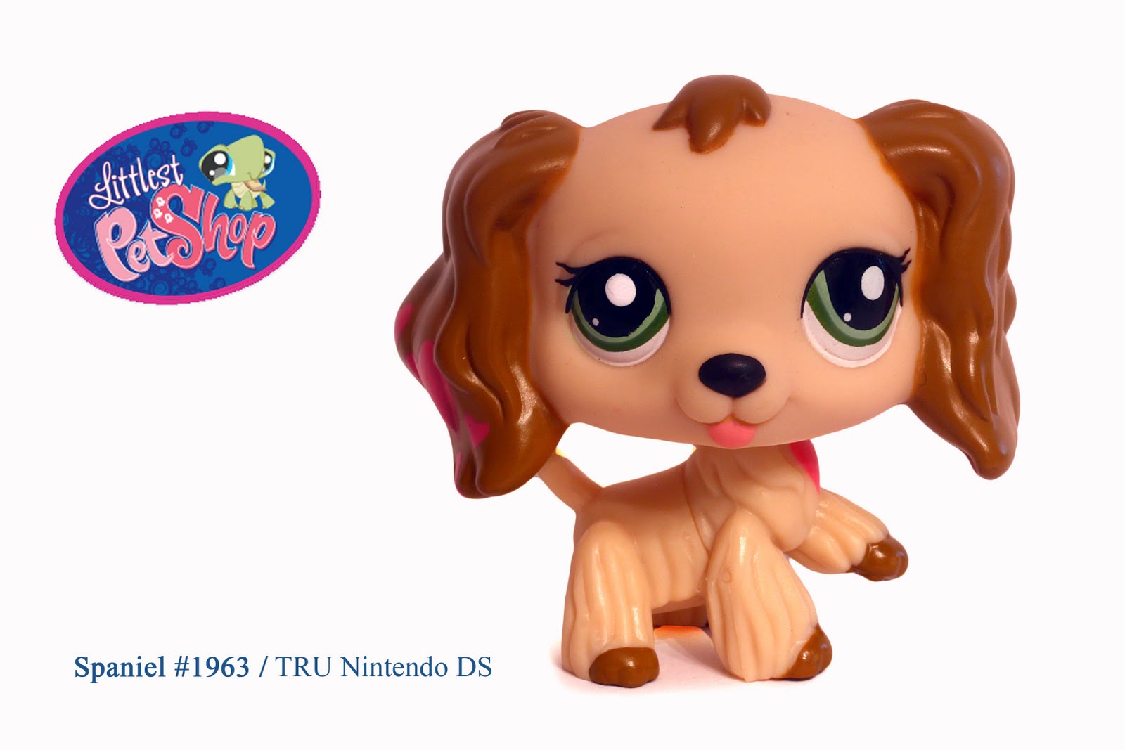 Mitybo's Animal Jam Blog: New Cartoon, Lps, And More!