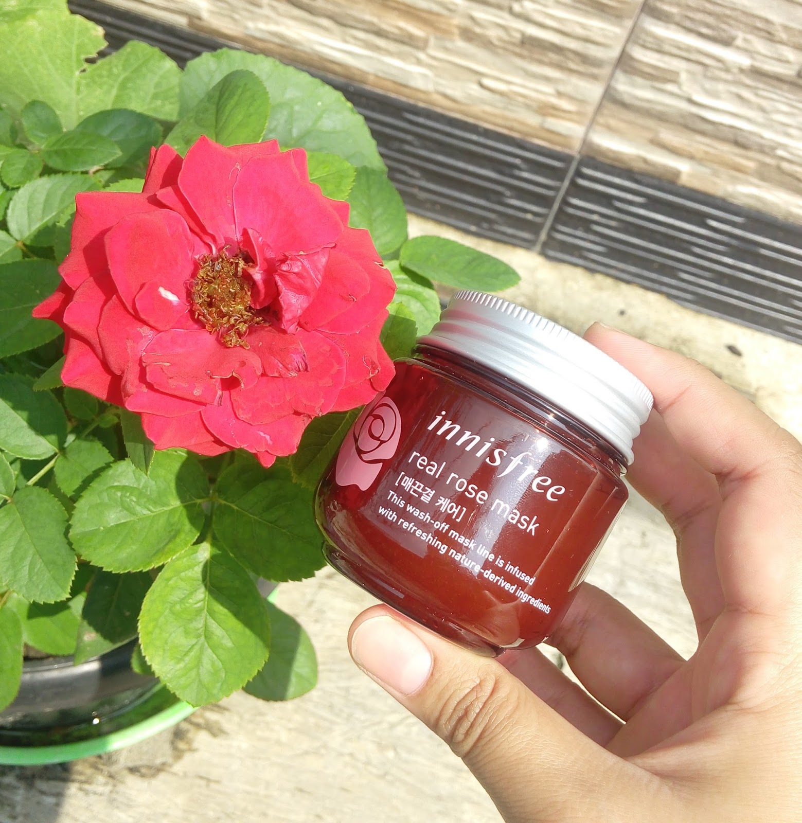 A M A L I A G G I T A . Innisfree Real Rose Mask Washoff