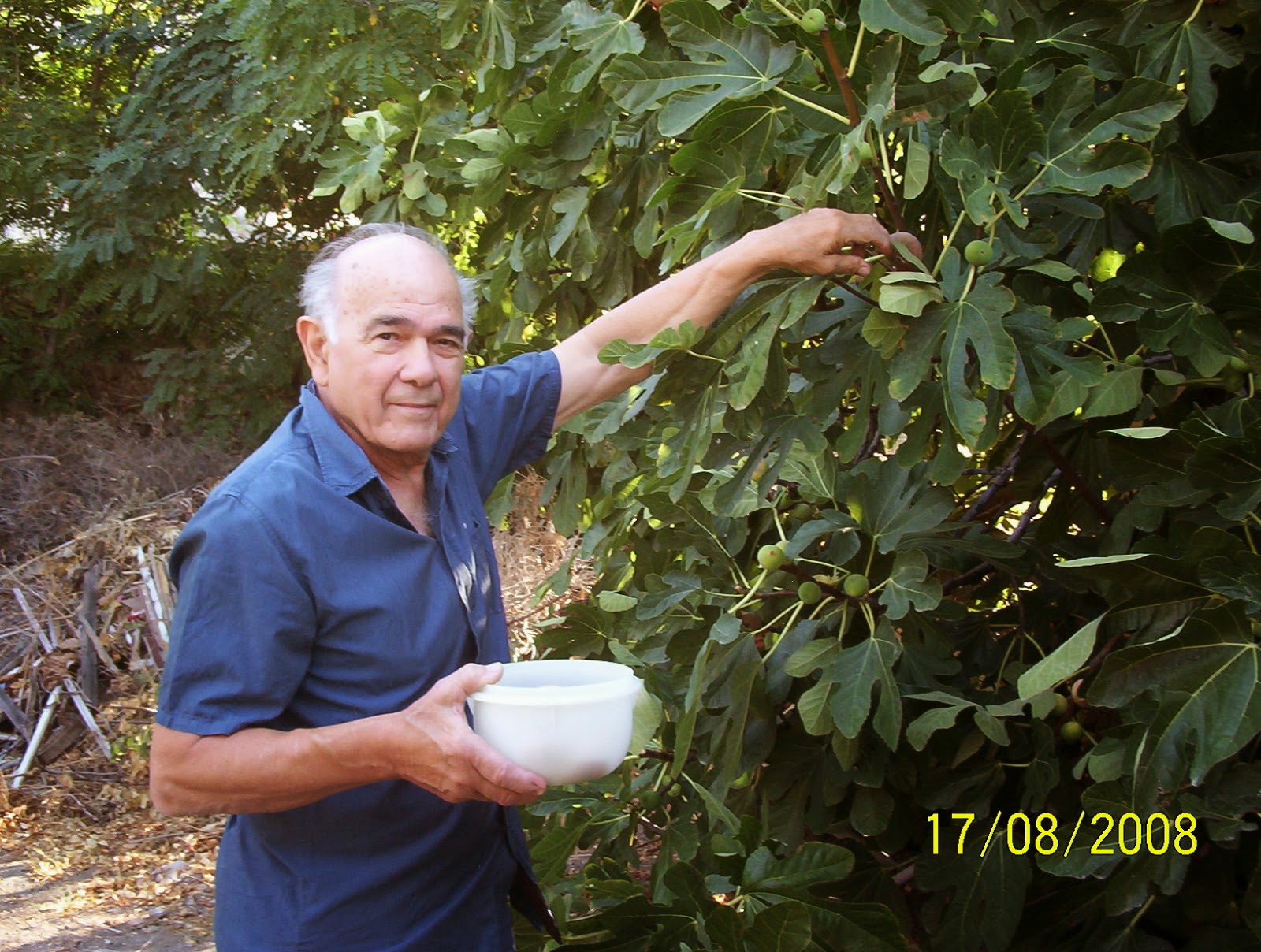 Returning Home to Greece: Fruit Trees