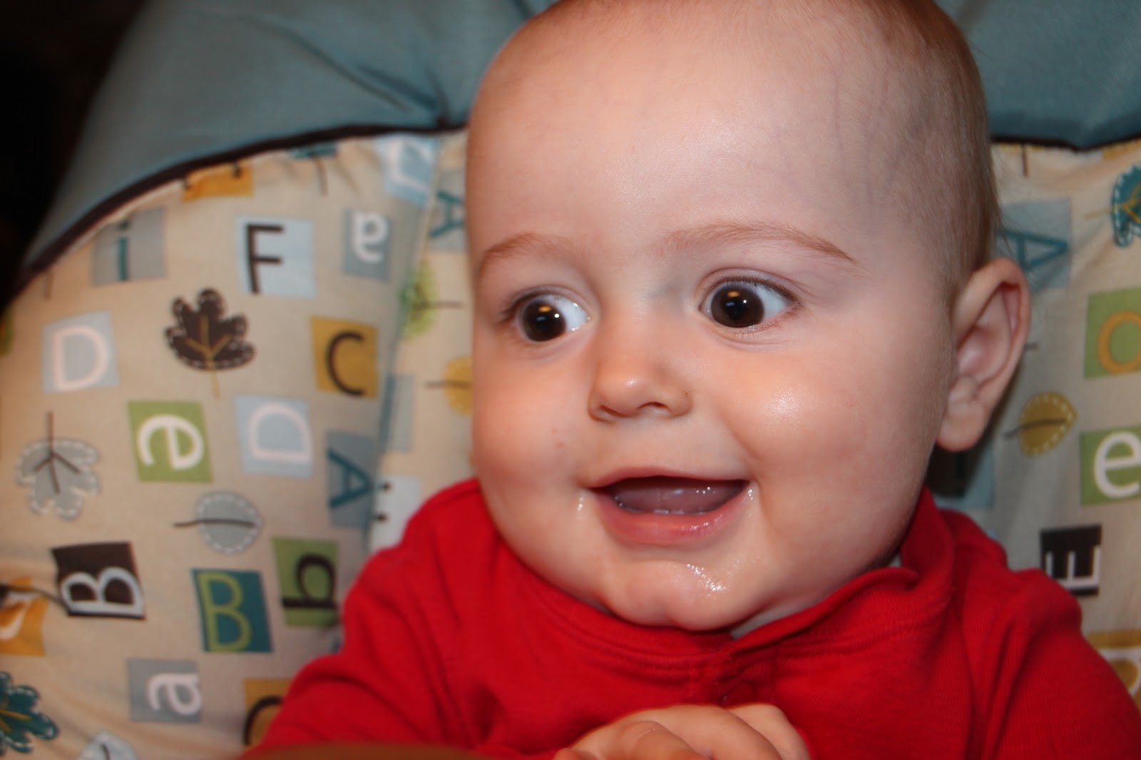 The Xander Apollo Blog Xander's Extended Easter