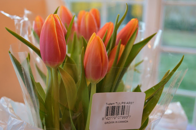 Orange tulips in plastic from the store