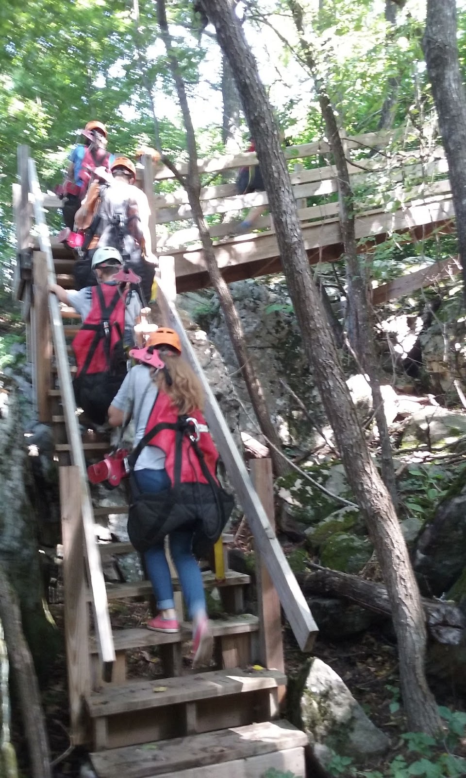 Back To Georgics Harrison Ar