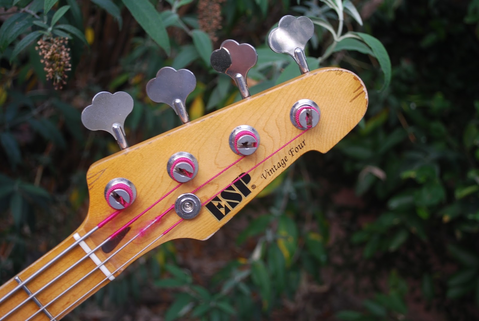 Rex and the Bass 2007 ESP Vintage Four Bass Review