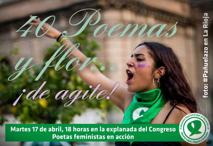 40 poemas y flor ¡de agite! Explanada del Congreso de la Nación. 2018.