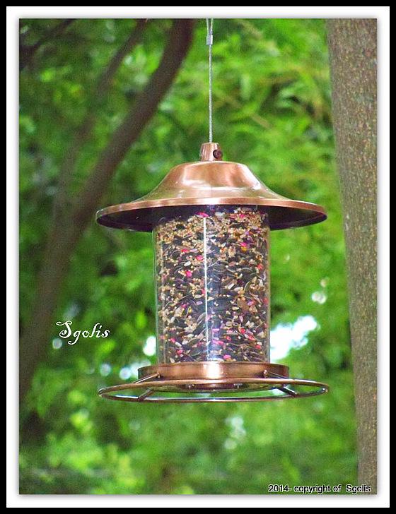 Yard and Garden Secrets Hanging Bird Feeders Location Matters