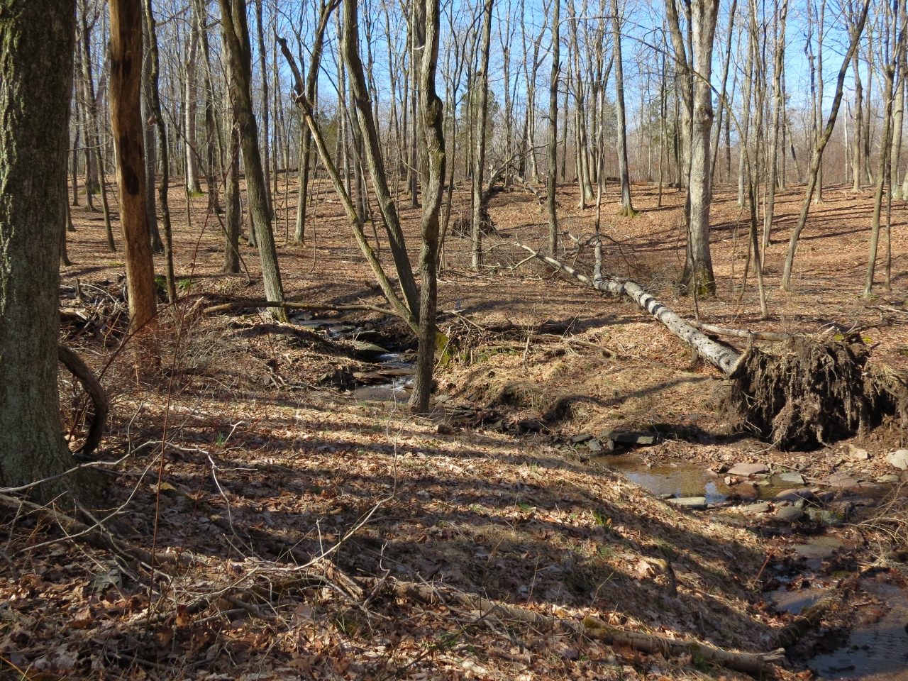 Gone Hikin' Horseshoe Bend Park, NJ North