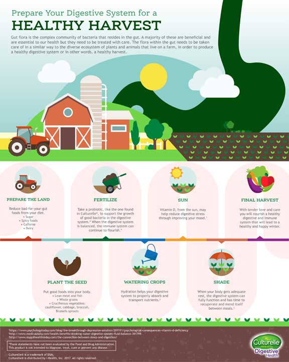 Maintain Gut Health For A Healthy Harvest THE ENCYCLOPEDIA