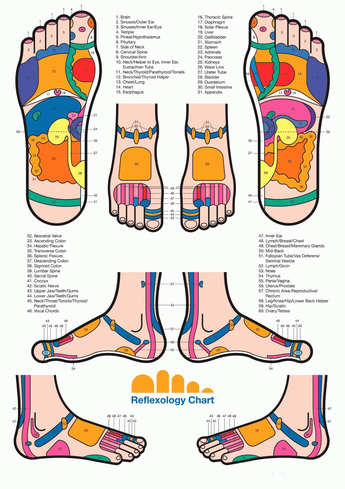 FCU HOMESCHOOLING JOURNEY MIRACLE OF FOOT REFLEXOLOGY (FCUMEDIC)