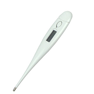 Termometer Bayi Digital
