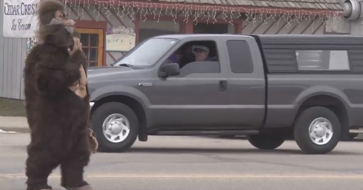 Remer, Minnesota Declares Itself Home Of Bigfoot